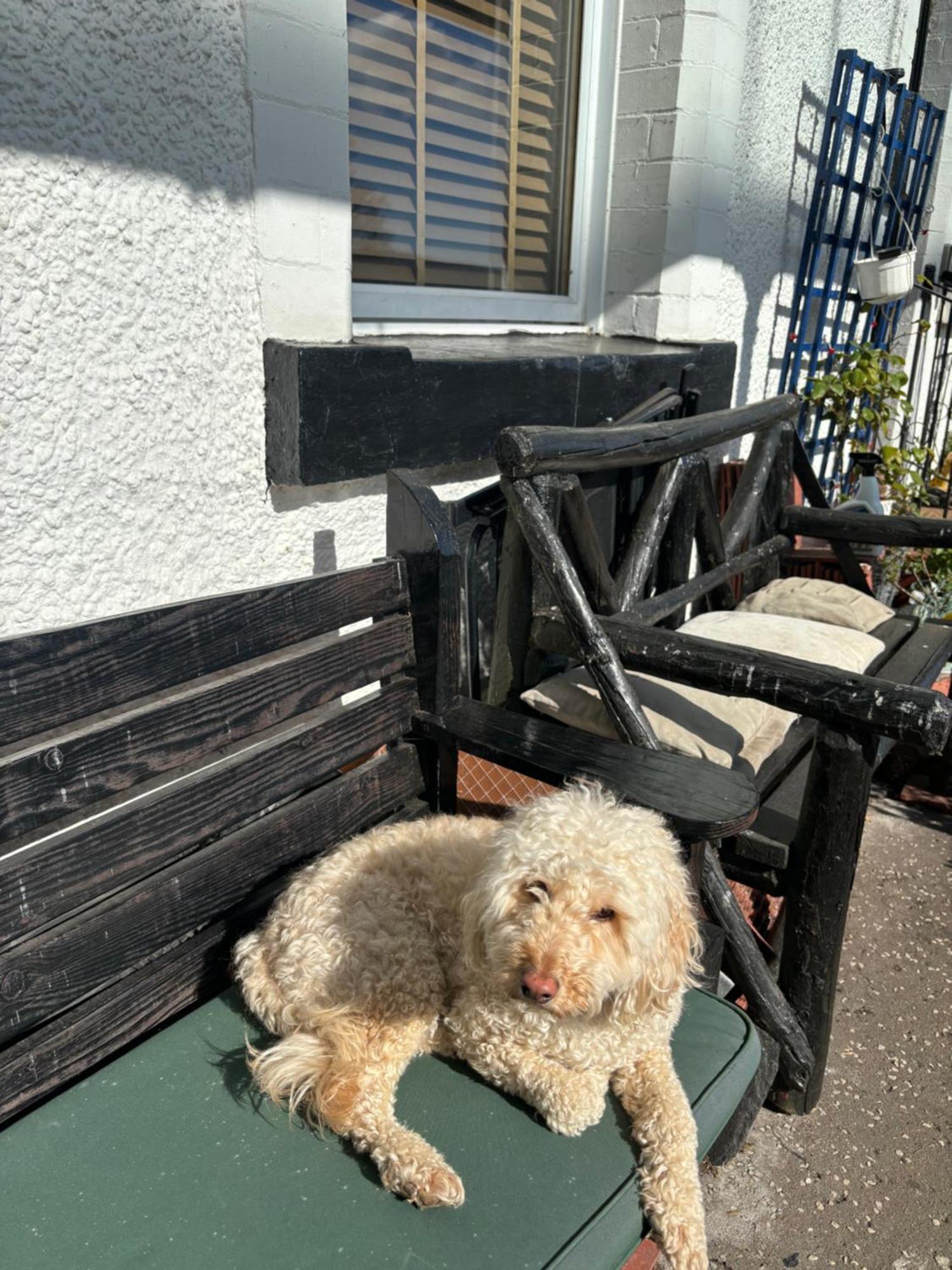 North Lodge Kilmun 외부 사진